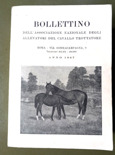 Bollettino associazione - bollettino,