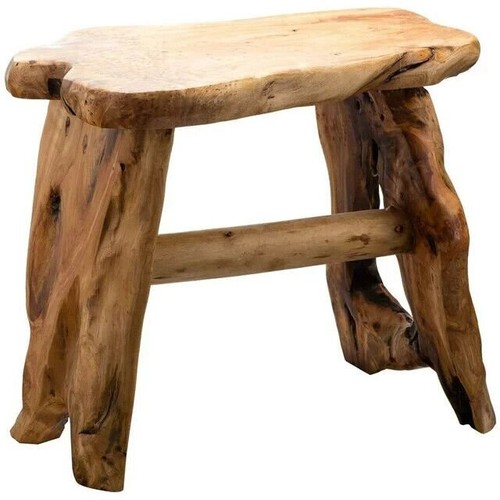 Ceppo albero legno cedro - ceppo,