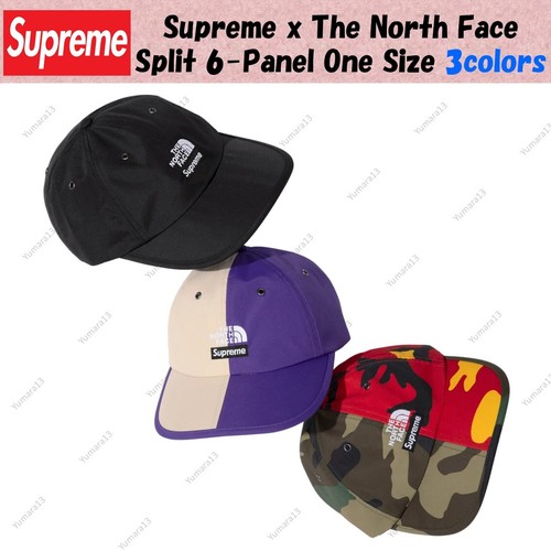 Supreme the north face - x,