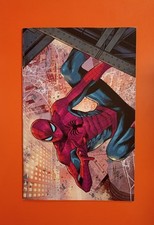 ULTIMATE SPIDER-MAN N.1