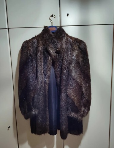 Pelliccia castoro - pelliccia,