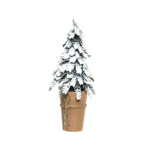 Albero natale abete - di,
