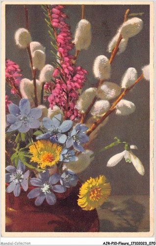 Ajrp10 1012 fiori - -,