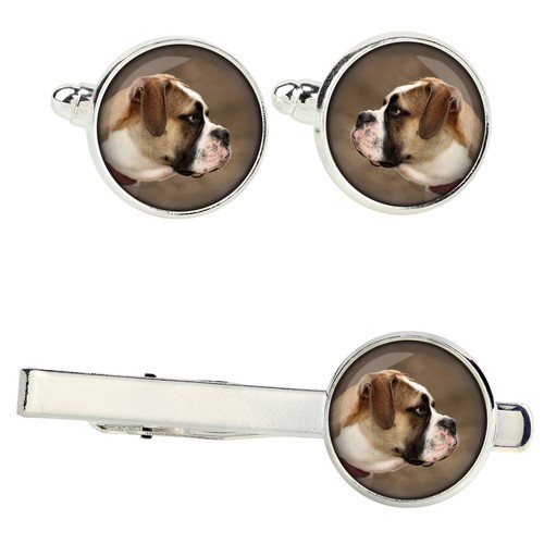 Bulldog americano set - , di