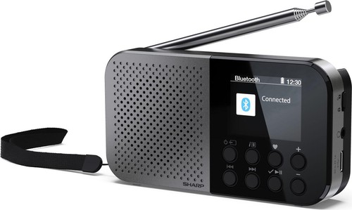 Sharp osaka radio digitale - radio,