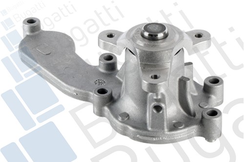 Pa10352 bugatti pompa - bugatti,