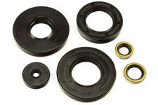 Kit 6 anelli di tenuta motore