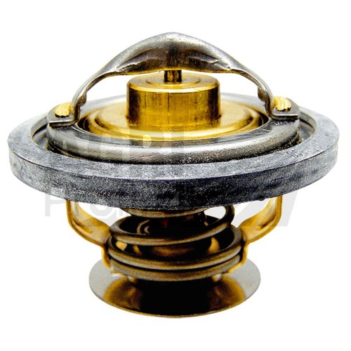 Termostato per lamborghini - termostato,