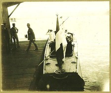 large photo armee France