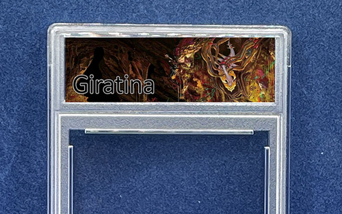 Rara custodia personalizzata