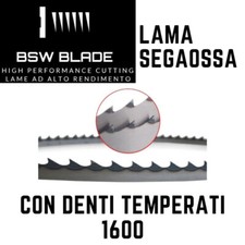 Lama a nastro 1600 inox segaossi