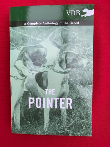 Pointer dogs gundogs - pointer,