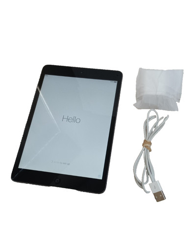 Apple ipad mini - ipad,