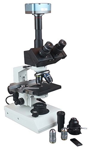 Radical microscopio fase - radical,
