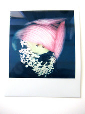 z) N. ARAKI: POLAROID