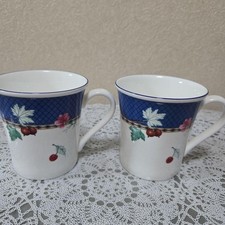 Set di 2 tazze Wedgwood Fruit