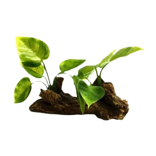 Legno acquario con piante - legno,