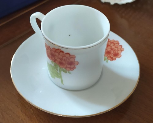 Set pezzi porcellana - 24, 12