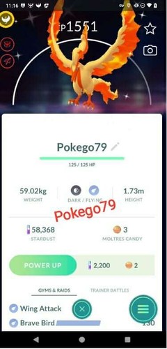 Shiny galarian moltres - moltres,