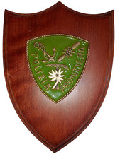 CREST POLIZIA FRONTIERA CIELO MARE TERRA 24,5x18 cm vintage