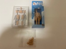 Set completo corpo Obitsu 11