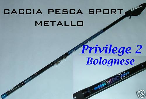 Privilege bolognese mitchell - privilege,