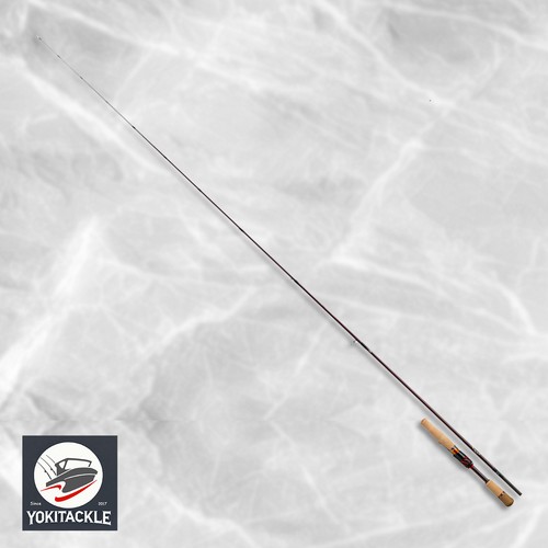 Daiwa steez shore - daiwa, competition