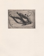 Giuseppe Viviani - I piripiri