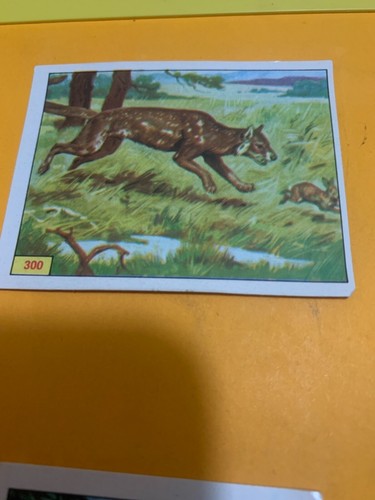 Figurina 300 animali - n.300,