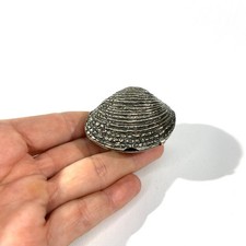 Antica scatola portapillole a forma di conchiglia in argento massiccio pesante, marcata scatola pillole italiana