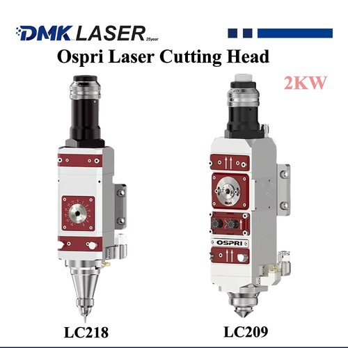 Testa taglio laser - testa, di