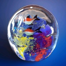 Acquario In Vetro Sommerso Di