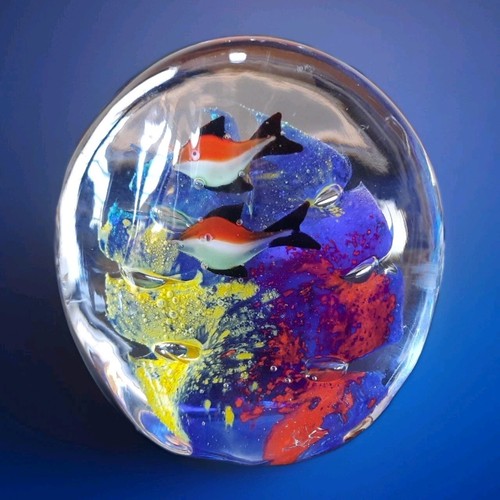 Acquario vetro sommerso - acquario,