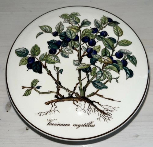 Villeroy boch botanica - &,
