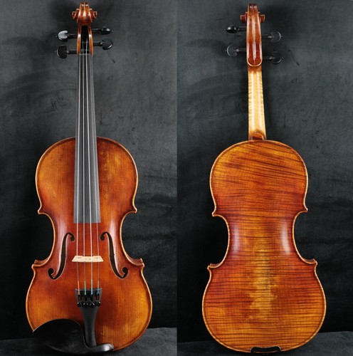 Bely violino fatto - fatto, mano