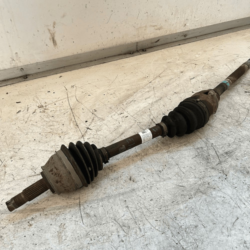 51947024 semialbero ant - 51947024,
