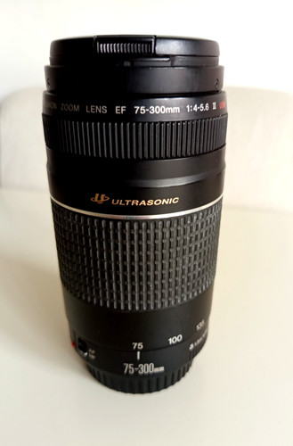 Obiettivo canon 300 mm - ef, 75-300