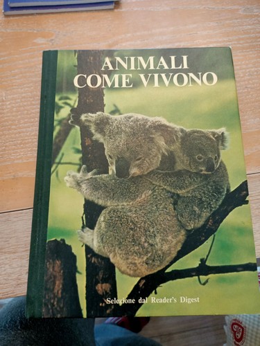 Animali come vivono selezione - animali,