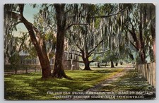 Cartolina Mandarin FL Old Oak