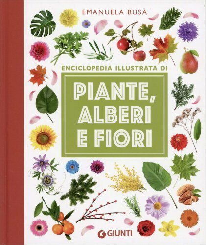 Libro enciclopedia illustrata - libro,