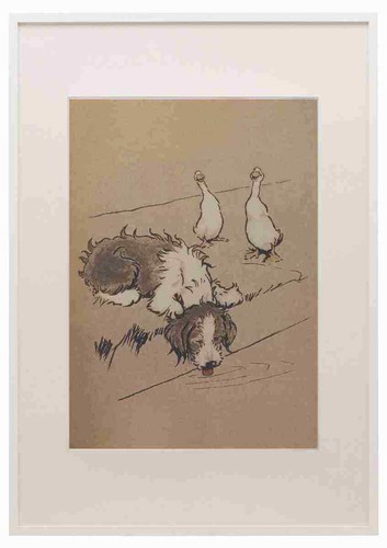 Aldin cecil bobtail libro - bobtail,