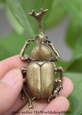 Ciondolo statua coleottero