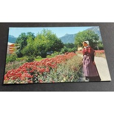 Cartolina Bardonecchia - Viali