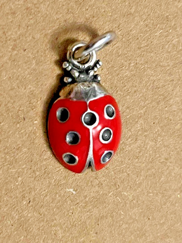 Charm giovanni raspini - giovanni,
