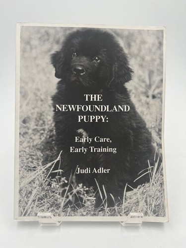The newfoundland puppy - newfoundland,