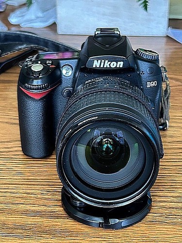 Nikon d90 megapixel - nikon,