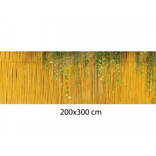 Arella 200x300 cannucce - in,