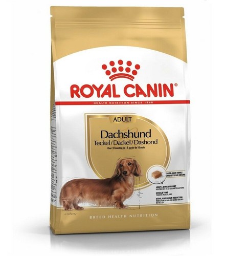 Royal canin dachshund - canin, adult