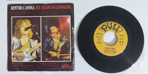 14769 giri cugini - 45,