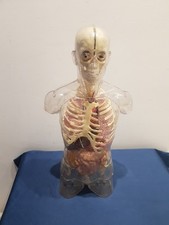 Esplorando Il Corpo Umano Collezione De Agostini Modello Anatomico 3D 